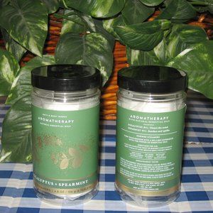 BBW Aromatherapy Eucalyptus & Spearmint Shower Steamers Lot of 2 New